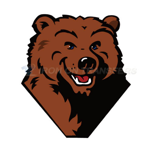 UCLA Bruins Iron-on Stickers (Heat Transfers)NO.6651